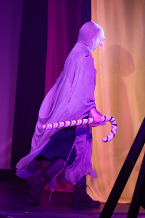 Snow White and the 11½ Dwarfs show photos